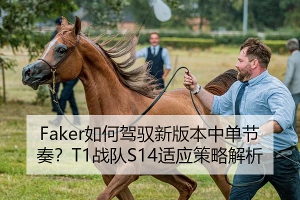 Faker如何驾驭新版本中单节奏？T1战队S14适应策略解析